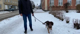 Fortfarande fler lyktstolpar än hundar i Nyköping – men jyckarna blir allt fler