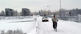 Förslag: Det vill Miljöpartiet förbjuda på Parkbron