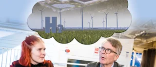 De ungas frågor: Vågar vi tro på de gröna drömmarna? 