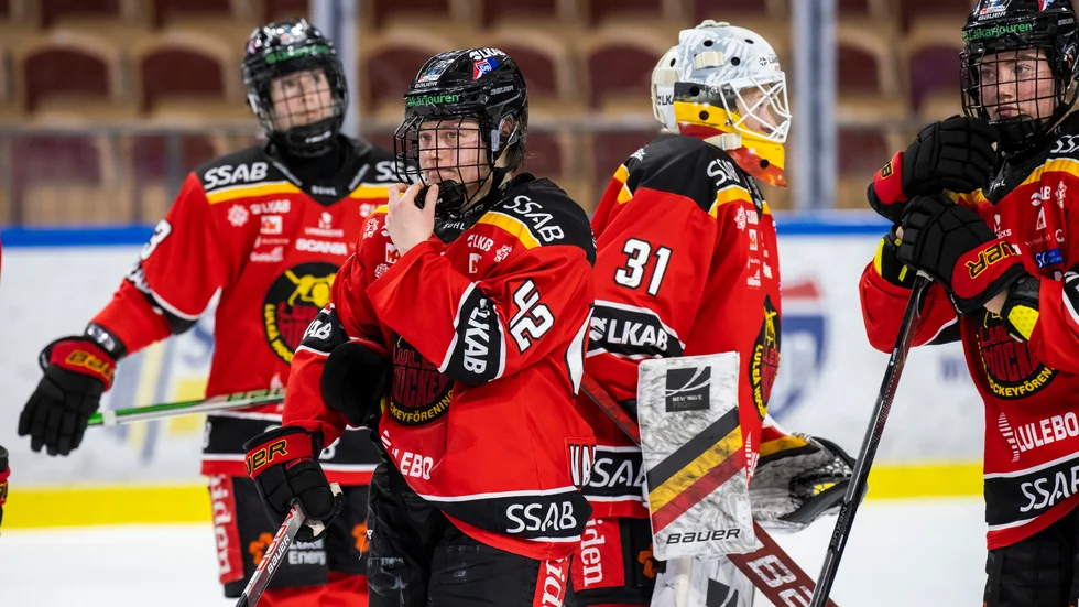 "Det var kanske nyhetens behag som gjorde att fler gick på matcherna förut", säger supportern Lasse Persson.