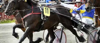 Tyri Svarten tvåa i V65-lopp