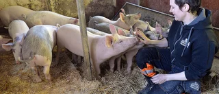 Stillsamt bland bekanta trynen