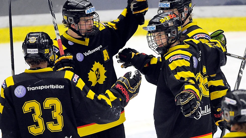 Sju–sju. Så är fördelningen mellan spelare från AIK och spelare från andra klubbar när det gäller intagna till ishockeygymnasiet i höst.