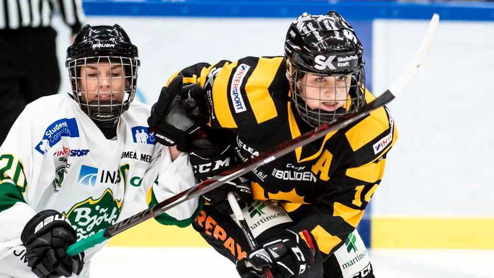 Rivalitet. I matcher mellan Björklöven och Skellefteå AIK märks hatkärleken mellan Umeå och Skellefteå.