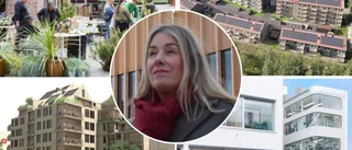 Byggandet i Skellefteå: Kritik mot konservativ bransch • ”De bygger som på 80-talet, det är så låg teknikhöjd”