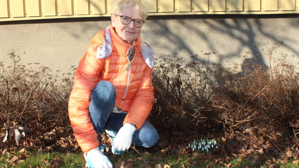 Judit Kiskéri i Västervik har hittat några snödroppar vid en solig husvägg.