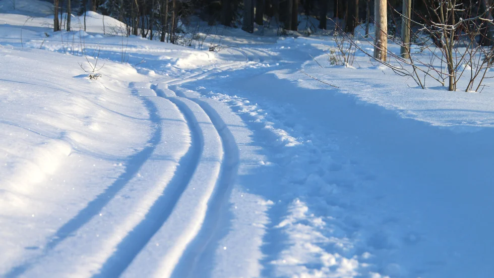 En student vid Linköpings universitet skadade sig under en längskidtur i Norge. (Bilden är tagen i ett annat sammanhang.) 