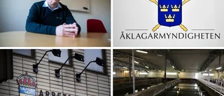 Bolaget har polisanmälts efter olyckan ✓ Man låg ensam i vattnet i 40 minuter ✓ Det händer nu