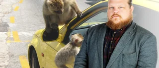 Är invånarna verkligen smarta nog för kommunen?