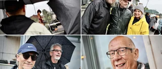Vimmel från Musik vid Bryggarbacken