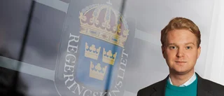"Inte regeringens uppgift att recensera enskilda människor"