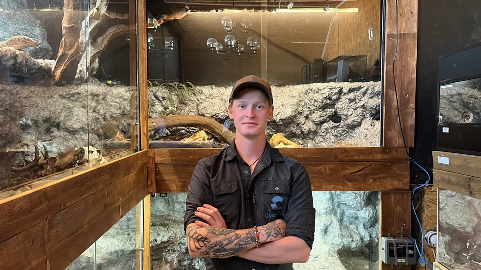 Sina terrarium har Pontus själv byggt av bland annat betong och frigolit. 