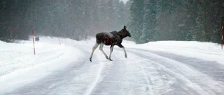 Här kommer snön idag