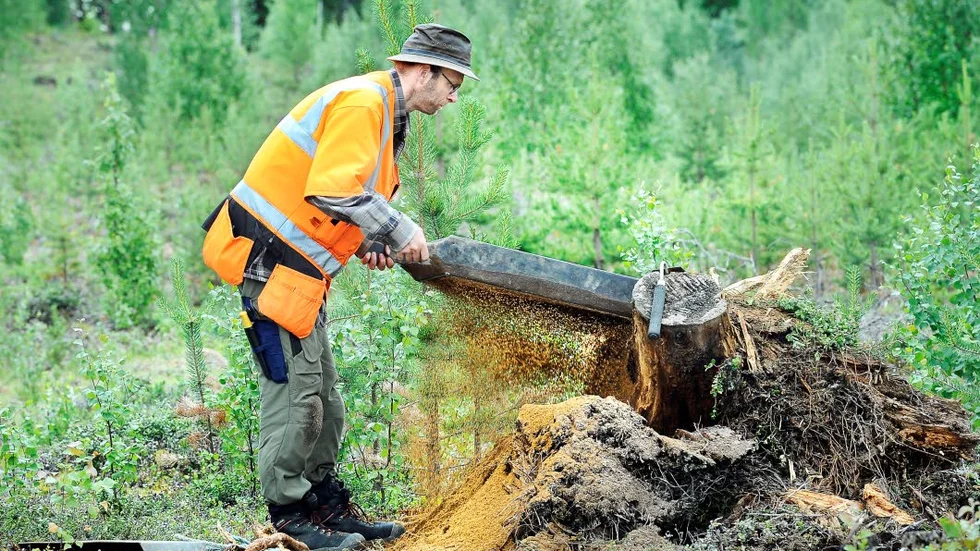 Bilden är från utgrävningen vid Aareavaara där Norrbottens museums arkeologer letade fynd vid två boplatser i Aareavaara. På bild ses arkeologen Lars Backman i arbete.