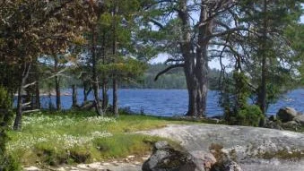 Det nya naturreservatet i Malexander ligger på en granitudde ut i sjön Sommen. Längst ut finns kala, flata hällar, och ibland går berggrunden i dagen.Bild: GÖRAN PALMQVIST