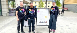 Premiär för Piteås nya konstfestival