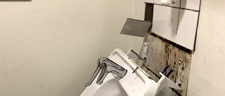 Därför bör vandaliserande barn bli ersättningsskyldiga
