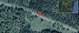 Kossor på vägen