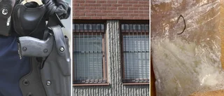 Skelleftebon hade placerat knarket mellan skinkorna 