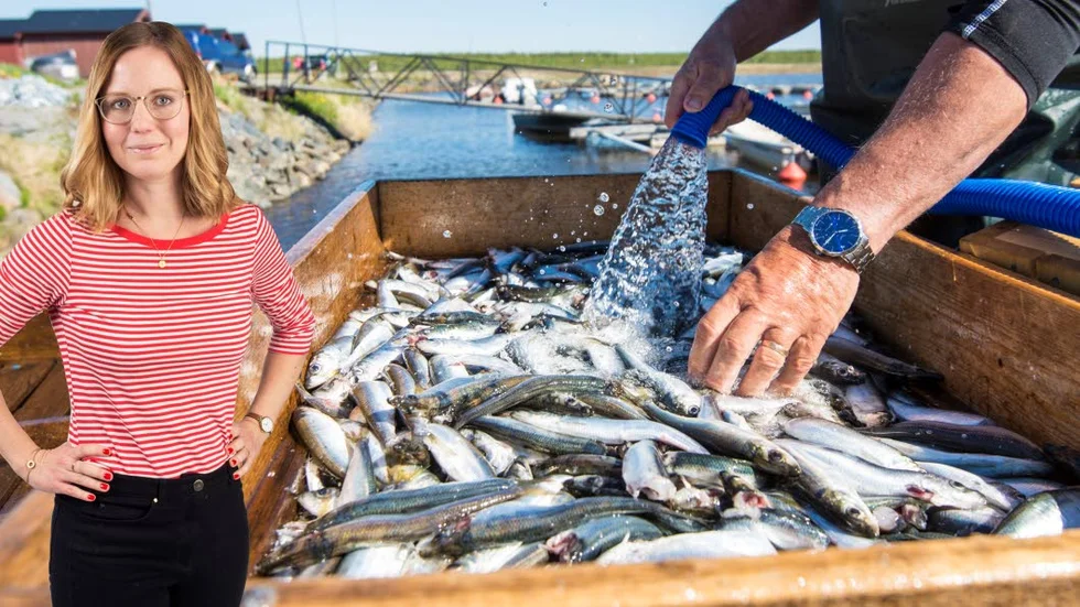 "Varje gång doften kommer över mig, sprider sig i kvarteret som ett surt täcke, så låser det sig totalt", skriver Elin Emborg i sin krönika.
