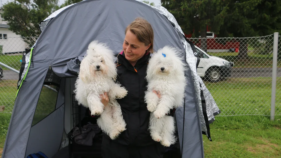 Linda Bowenius hade åkt hela vägen från Norrköping för att delta i hunduställningen med sina hundar Zoey och Zalming. "Det har varit jättebra, jag väntar på en gruppfinal nu och min dotter har deltagit i Junior handling. Det har varit väldigt speciellt med de ljusa nätterna i Piteå", säger hon.  