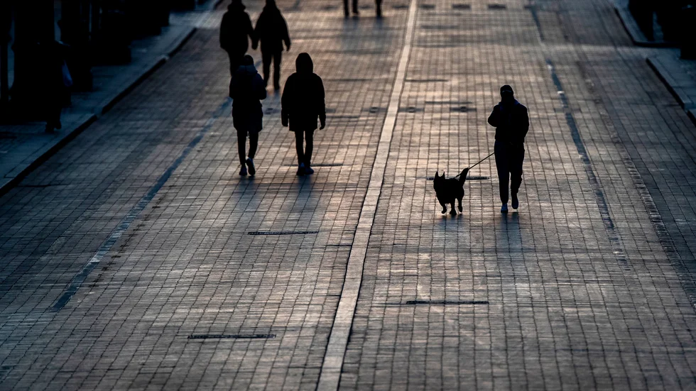 Hundägare och personer som inte har hund lever i olika universum, skriver Anna Wennblad.