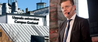 Här är populäraste utbildningarna på Campus Gotland