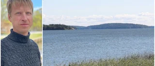 Miljögifter i Mälarens fisk: "Inte bra i den här typen av sjö"