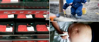Barnomsorg, mödravård och kött – se alla nya Skellefteföretag