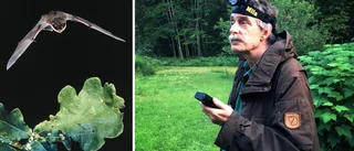 Fladdermusforskare om domen: "Helt onödigt"