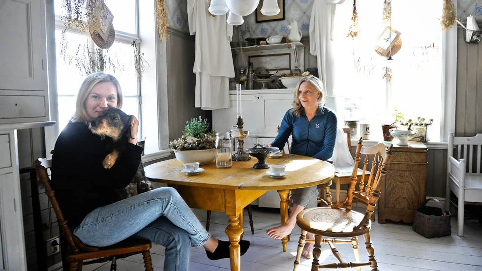 Nina och Urban Holm har restaurerat ett gammalt hus i Kågemarken. Dottern Lisa Holm kramar om familjens hund Nisse, som alltid vill vara med då barnen kommer på besök. 