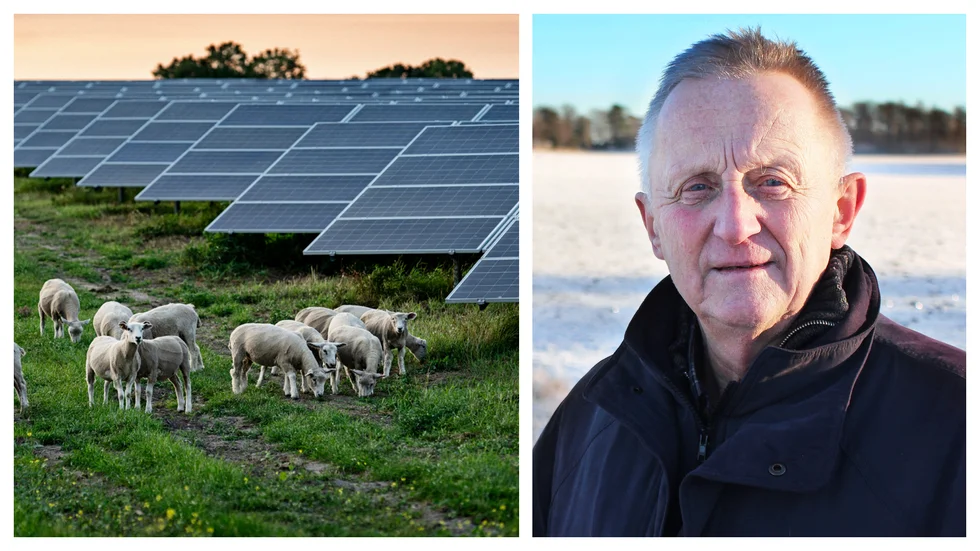Med en solpark sås marken in med gräs till en vall, där får kommer att beta mellan panelerna. Det ger mer biologisk mångfald än i dag, skriver Staffan Danielsson.