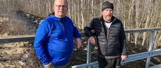 Norrfjärden drar ner på kräftfisket