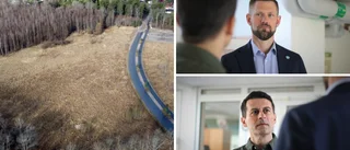 Så vill politikerna rädda Lalandiaprojektet