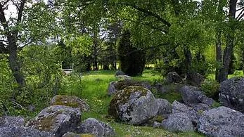 Rävsta naturreservat.