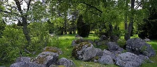Naturförskola i Rävsta