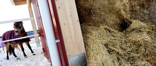 Så ska Piteå stärka naturbruksutbildningen