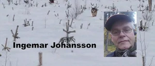 Ingemar om mötet med vargen