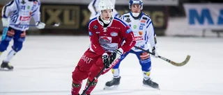 Kalix Bandy: "Lite bredd har väl saknats"