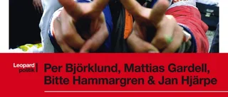Egypten: En djärv bok mitt i skeendet