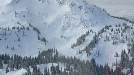 Här i Revelstoke, Kanada, inträffade tidigare i år en svår lavinolycka. En skoterförare orsakade lavinen som begravde över 100 människor i snömassorna. Två dog och 30 skadades.FOTO: Ian Tomm/CAA