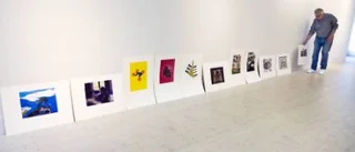 Konsthallens ersättning — rena svältlönen