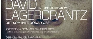 Vad kan du om Stieg Larsson?