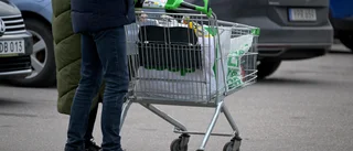 Svenska matpriser rusar inte mer än i Europa