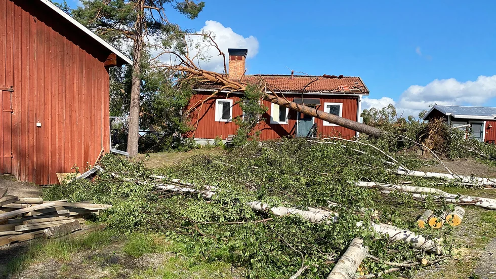 Stormen Hans härjningar orsakade stora skador när den drog in över Västerbotten den 8 augusti 2023. Så här såg det ut i Mensträsk, Norsjö, dagen efter. Några mil norrut, i Malå, slog stormen ännu hårdare.