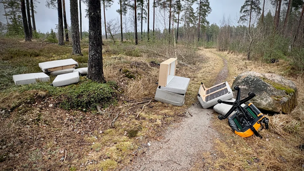 Möbler har dumpats i skogen vid Glysas grav. 