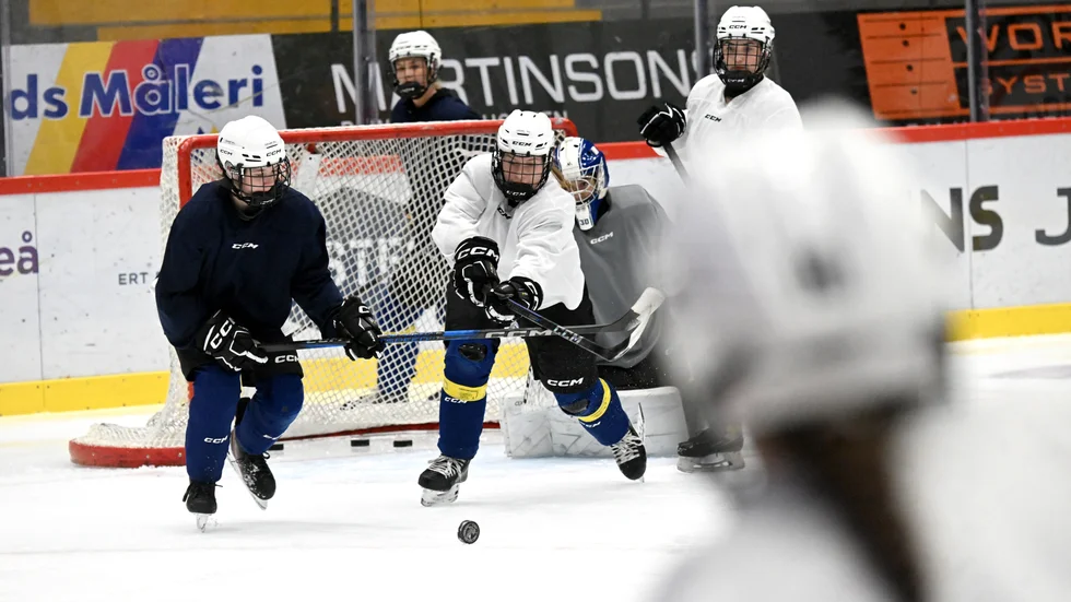 Clemensnäs HC/Skellefteå AIK föll dubbelt mot Modo under helgen i NDHL.
