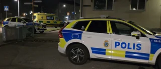 Man i Luleå anhållen för misshandel