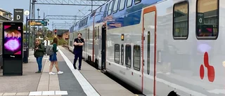 Flera tåg kraftigt försenade – efter älgolycka