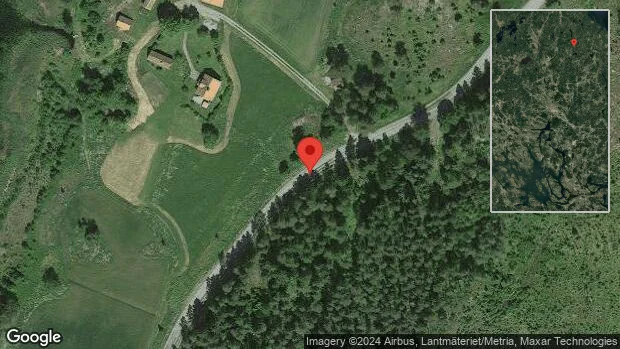 Träd över vägen skapar problem i trafiken på väg 290